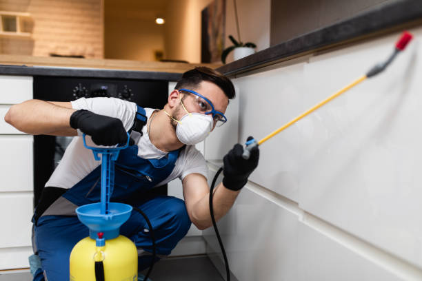 Pest Control for Restaurants in Ringgold, LA
