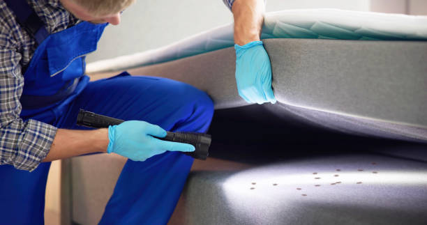 Best Pest Control Near Me  in Ringgold, LA