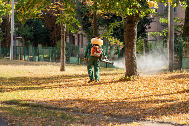 Best Rat Extermination Near Me  in Ringgold, LA